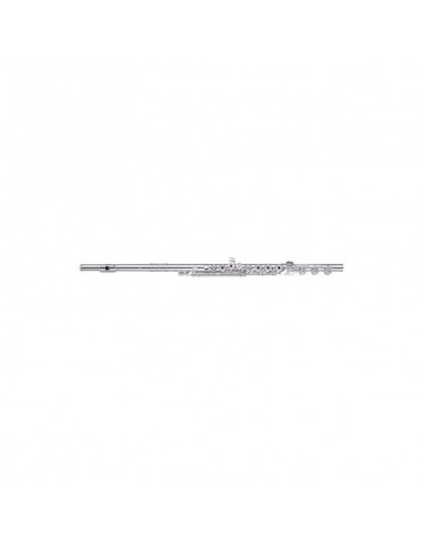 Flauta Miyazawa BR980-2RBE