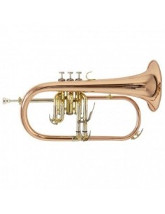 Fliscorno Bach FH501