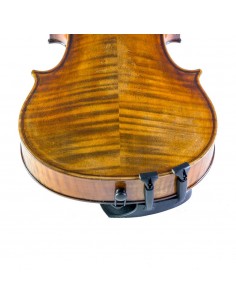 Barbada Viola Wittner 251131