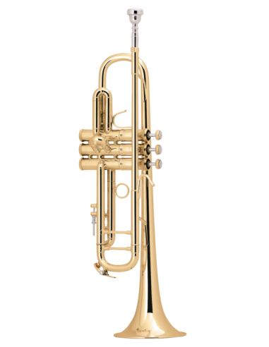 Trompeta Sib Bach 180ML 37 Goldmessing