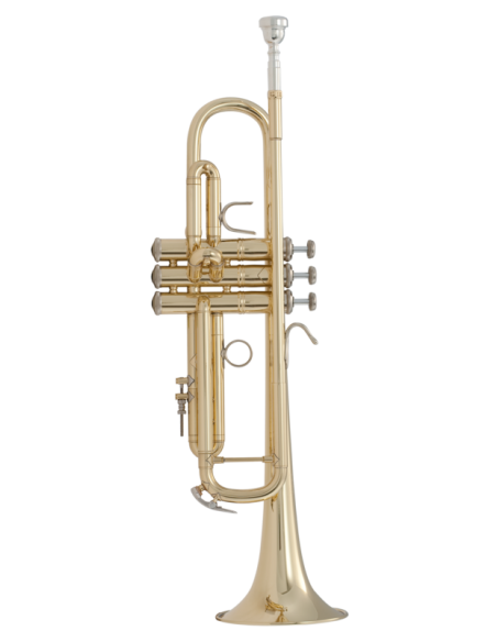 Trompeta Sib Bach LR180ML 72 Goldmessing