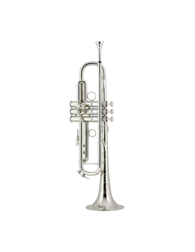 Trompeta Sib Bach LR190S 43B Plateada