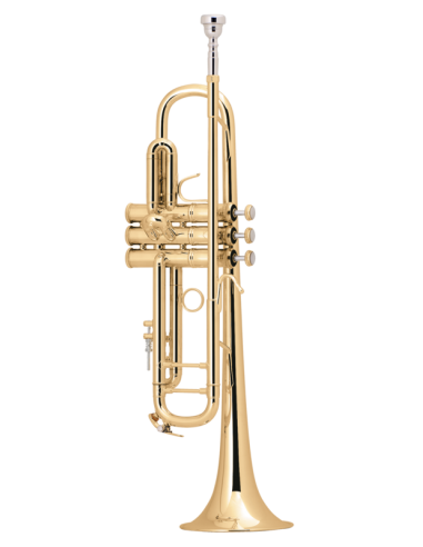 Trompeta Sib Bach LT180ML 37 Goldmessing