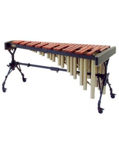 Marimba Adams Concert...