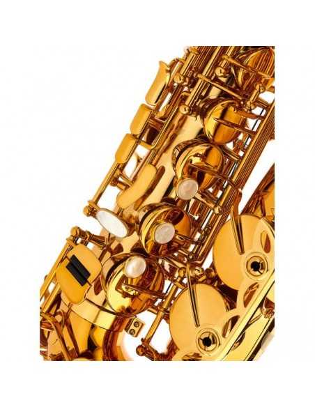 Saxofón Alto Selmer Signature Dorado Goldmessing Grabado DGG