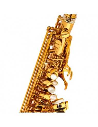 Saxofón Alto Selmer Signature Dorado Goldmessing Grabado DGG