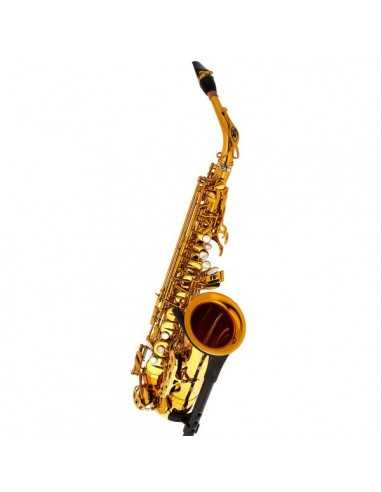 Saxofón Alto Selmer Signature Dorado Goldmessing Grabado DGG