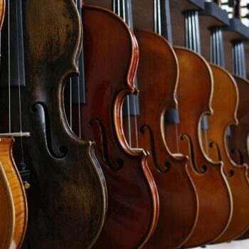 tipos de violín