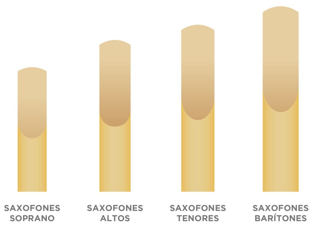 tipos de cañas para saxofon