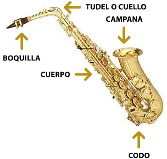 partes de un saxofón