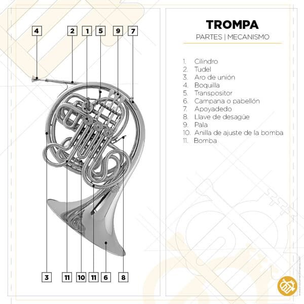 CARACTERÍSTICAS DE LA TROMPA EL INSTRUMENTO MUSICAL NEOMÚSICA Tu