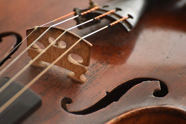 cambiar cuerda de violin