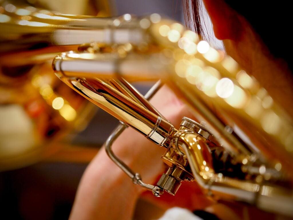Comparativa de sordinas de estudio para trombón accesorios para trombón