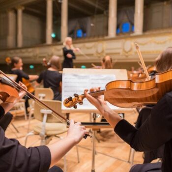 Todo lo que necesitas saber sobre los instrumentos cordófonos