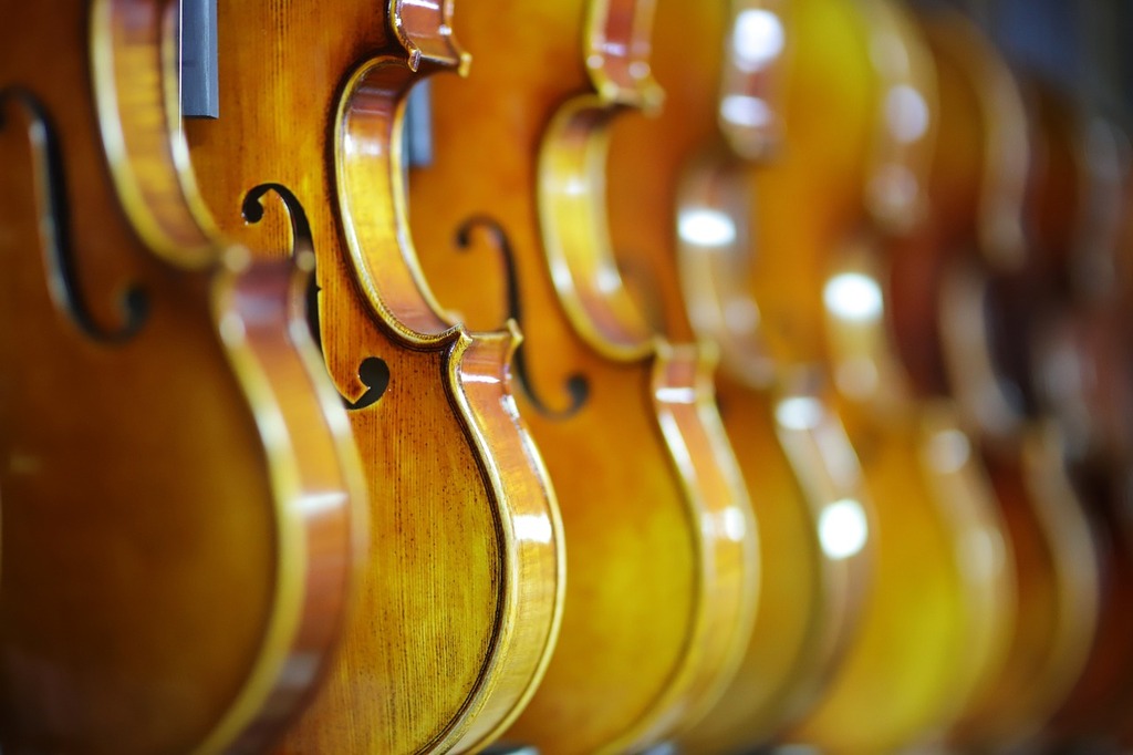 Figura Enciclopedia Parche 5 Consejos para comprar un violín - NEOMÚSICA | Tu blog de música