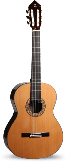 Guitarra Alhambra 10 Premier