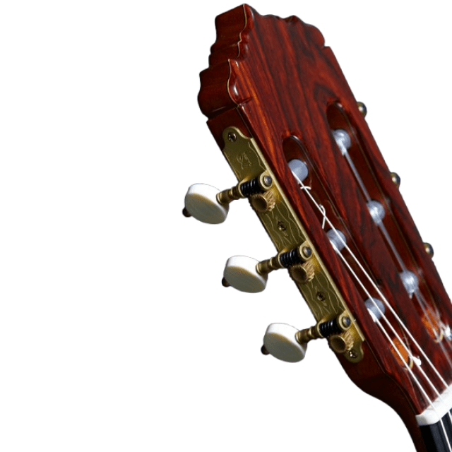 Guitarra Clasica Alhambra Linea Profesional