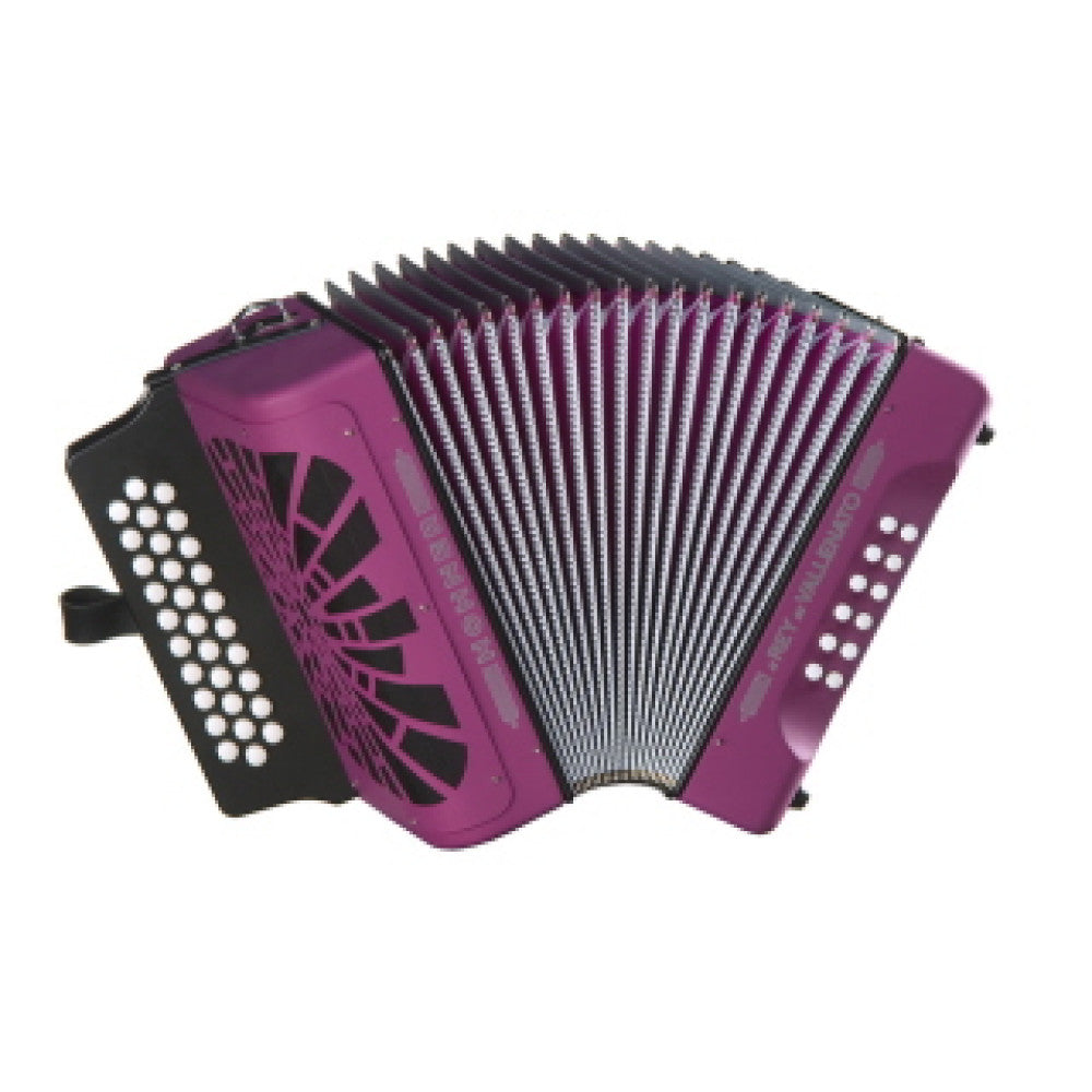 Acordeón Hohner Rey Vallenato GCF A-4922 Negro
