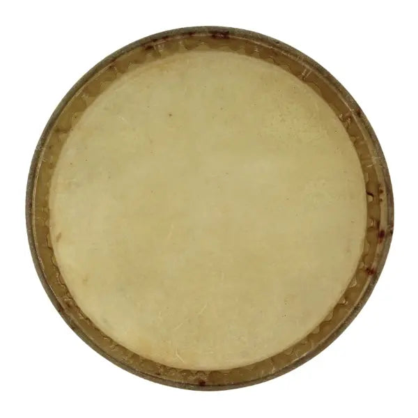 Parche Bongo Gonalca 9" Ref. R00170