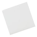 Golpeador 14X14 Transparente Ortola