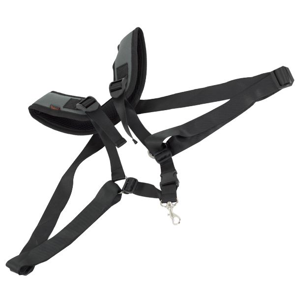 Arnes Saxo Omebaige Acolchado N. 53 OMB Negro/Gris