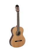 Guitarra Clasica Paco Castillo 201 Brillo_01