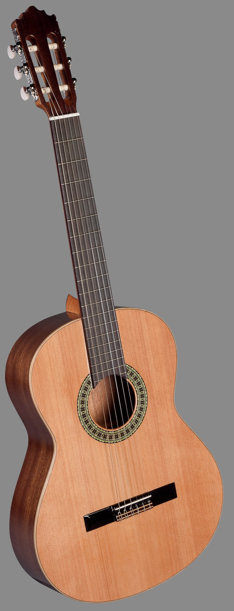 Guitarra Clasica Paco Castillo 201 Mate_01