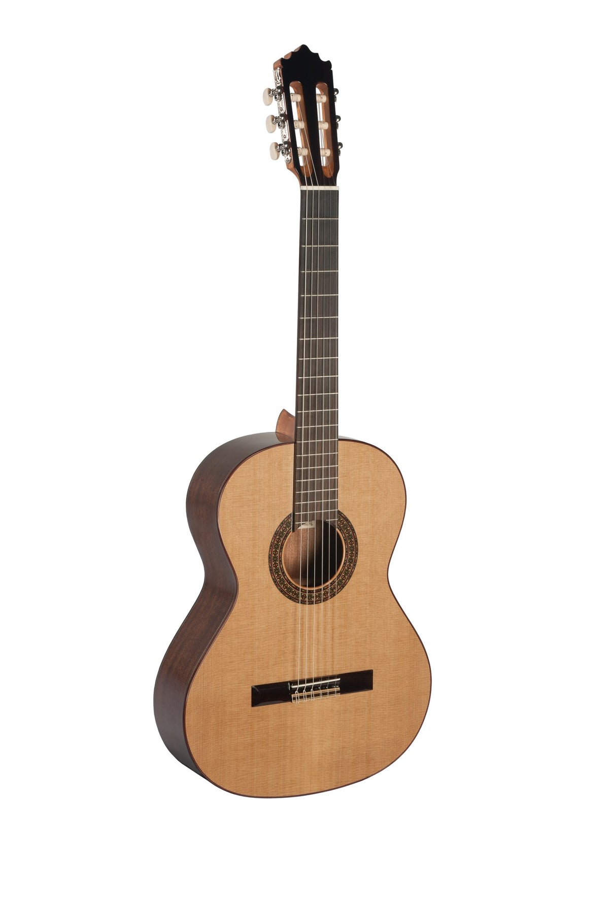 Guitarra Clasica Paco Castillo 202_01