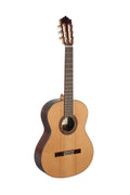 Guitarra Clasica Paco Castillo 203_01