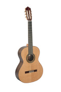 Guitarra Clasica Paco Castillo 204_01