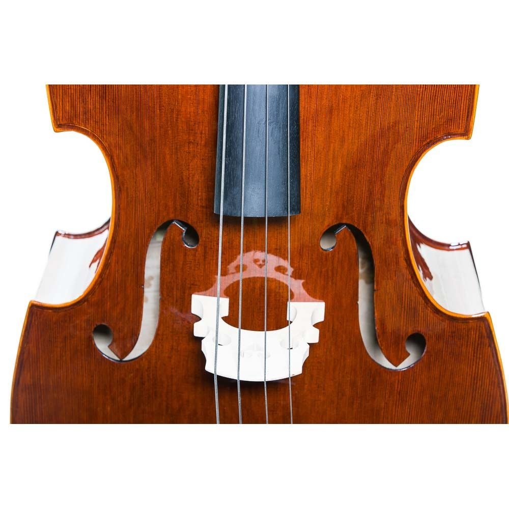 Contrabajo 3/4 Stentor Conservatoire (Arco y Funda)
