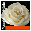Violin String 4/4. 2A Pirastro Wondertone Solo 410221