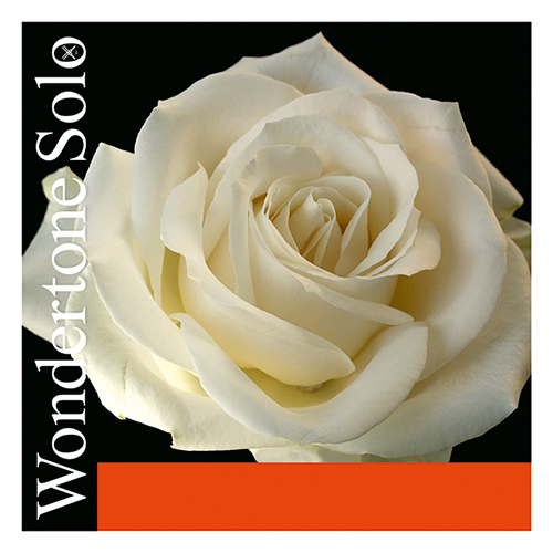 Violin String 4/4. 2A Pirastro Wondertone Solo 410221