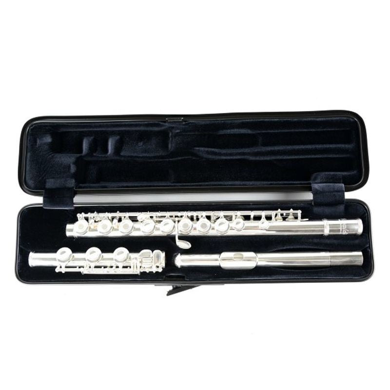 Estuche Flauta Bam 4009XL Hightech Carbon