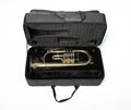 Estuche Fliscorno Cilindros Schagerl Euroline