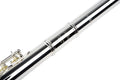 Flauta Altus 1107-SRBE