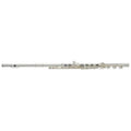 Altus PS-RBE Flute (1707-SRBE)
