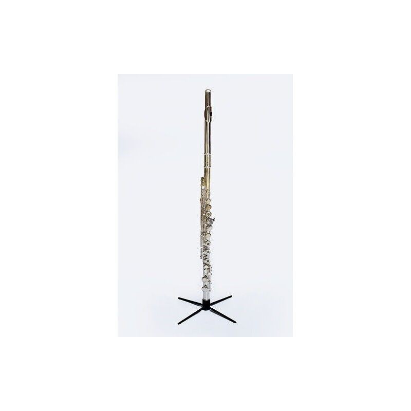 Bressant FL310SE Flute