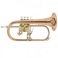 Fliscorno Bach FH501