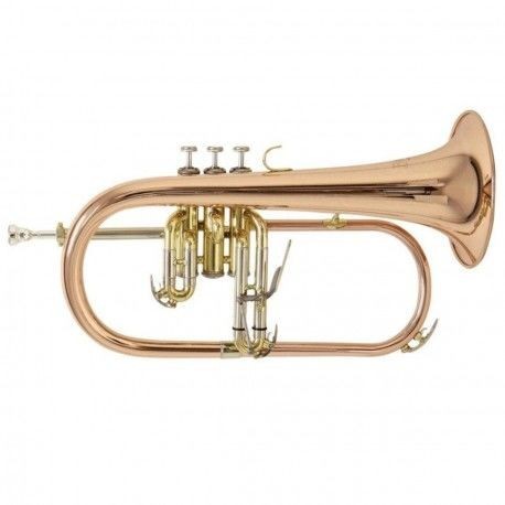 Fliscorno Bach FH501