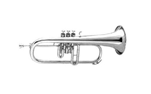 Fliscorno Gara GFH45S Plateado