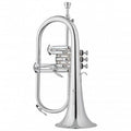 Fliscornes Jupiter JFH1100RS. Prateado