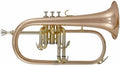 Fliscorno Venus FG300G Lacado