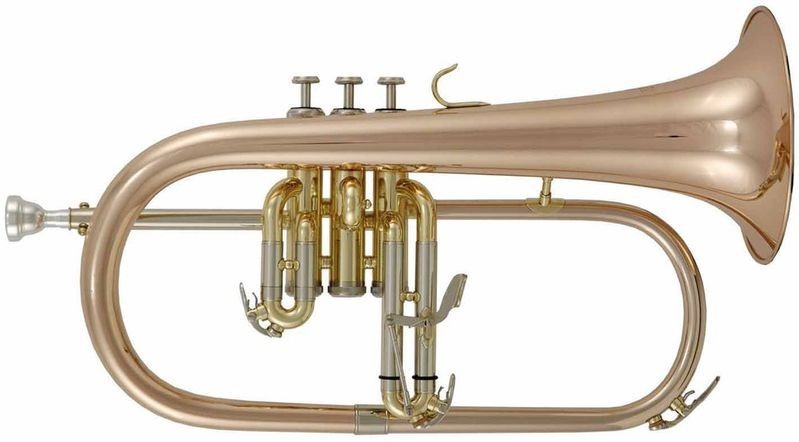 Fliscorno Venus FG300G Lacado