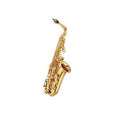 Saxofon Alto Gara GAS120L