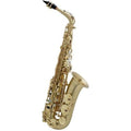 Saxofone Alto Selmer Jubile SA80 II Mate Chaves Godmessinga