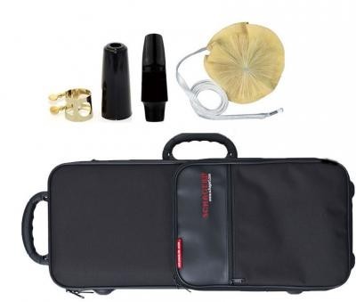 Saxofon Tenor Schagerl Academica T900L