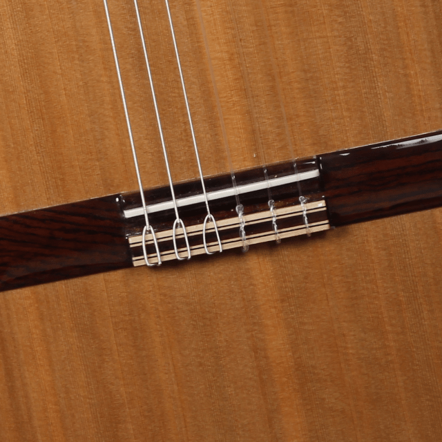 Guitarra Clasica Alhambra Iberia Ziricote