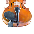 Violino barbado 4/4 Wolf Special Standard KH74 (Central/Lateral)