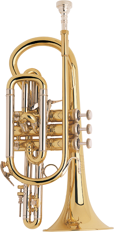 Bach 184ML Lacquered Bb Cornet
